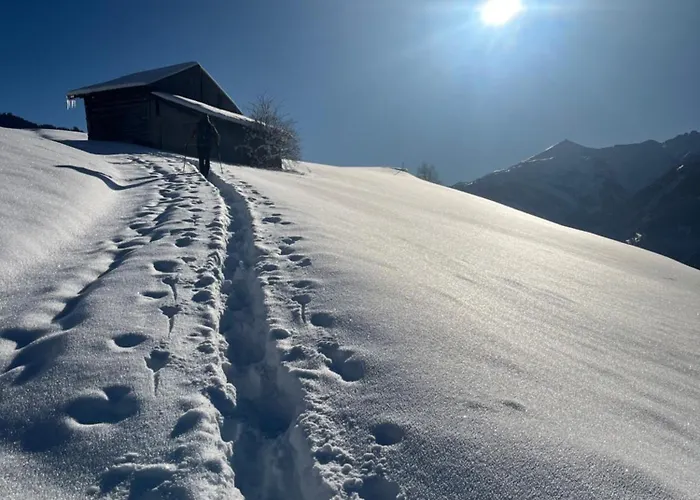 Villa-alpin Grossarl